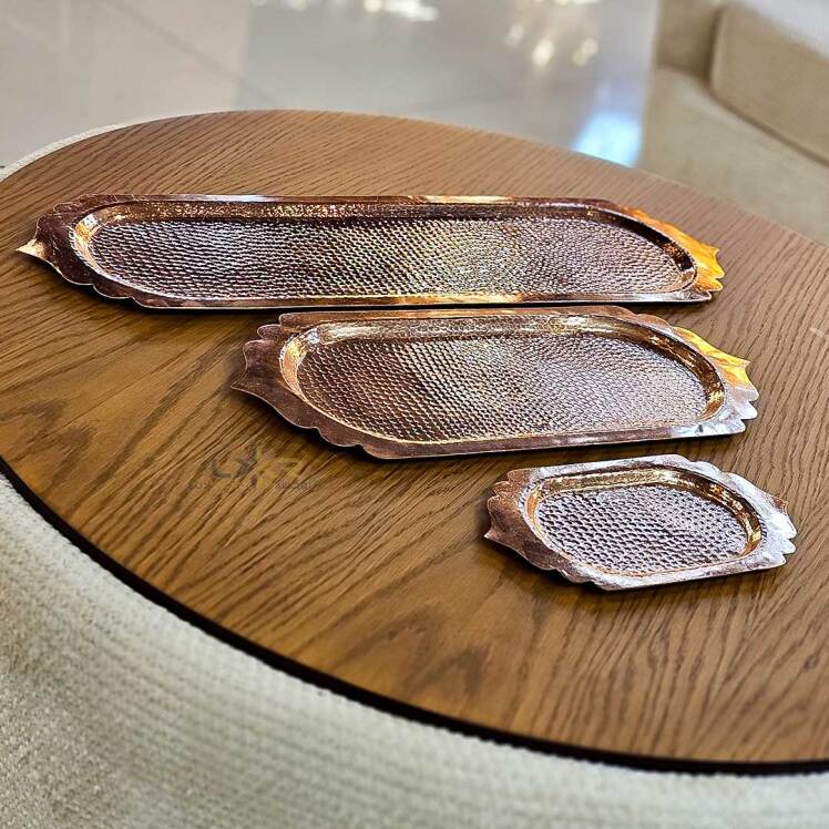 دیس پذیرایی مسی